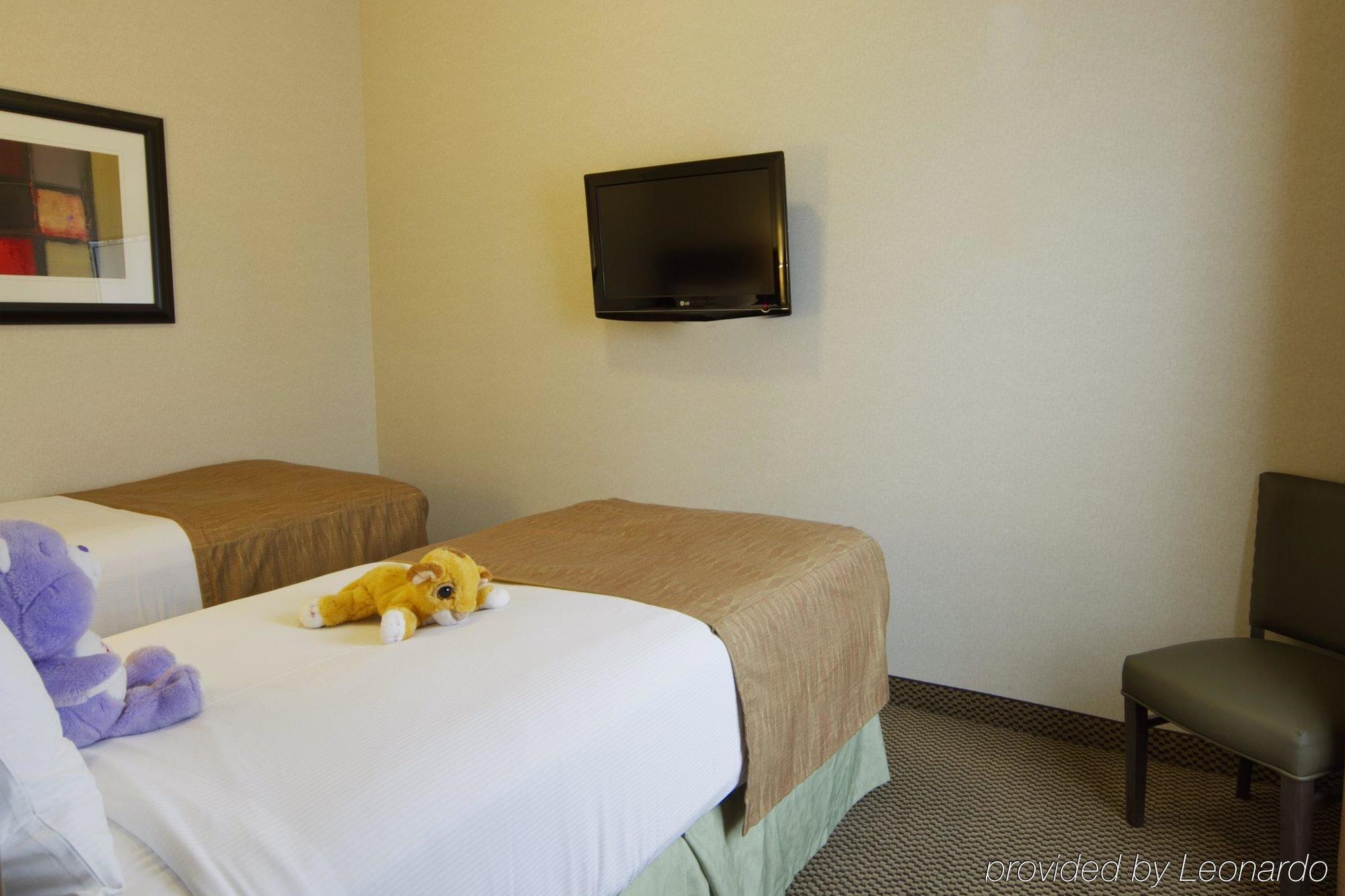 Best Western Wainwright Inn & Suites Номер фото